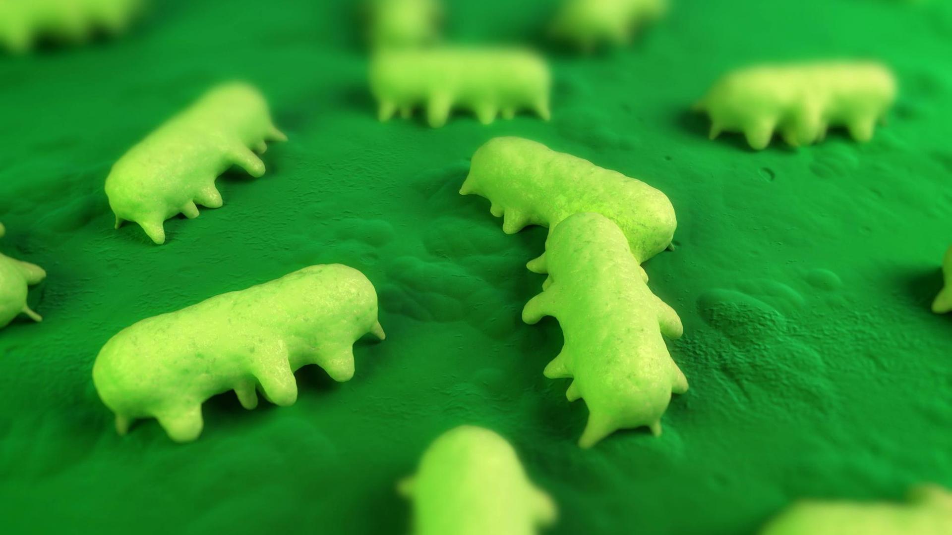 Künstlerische Darstellung von Salmonellen mit ihrem stäbchenförmigen Körper und kleinen beinähnlichen Auswüchsen. Künstlerische Darstellung von Salmonellen mit ihrem stäbchenförmigen Körper und kleinen beinähnlichen Auswüchsen.