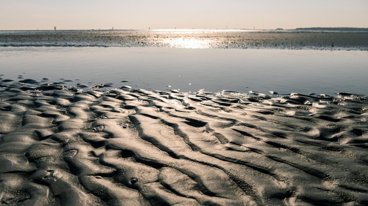 Watt und glitzerndes Wasser: Blick auf das Wattenmeer zwischen Cuxhaven und Neuwerk. Watt und glitzerndes Wasser: Blick auf das Wattenmeer zwischen Cuxhaven und Neuwerk.