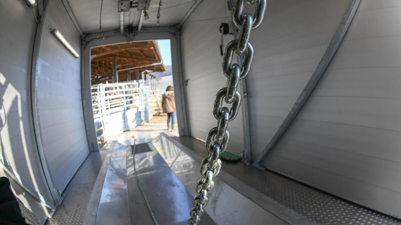 Eine Kette hängt im Inneren der mobilen Schlachteinheit. Die neue, in Hessen entwickelte Methode erlaubt die Schlachtung von Rindern ohne Tiertransporte und damit ohne zusätzlichen Stress für die Tiere. Eine Kette hängt im Inneren der mobilen Schlachteinheit. Die neue, in Hessen entwickelte Methode erlaubt die Schlachtung von Rindern ohne Tiertransporte und damit ohne zusätzlichen Stress für die Tiere.