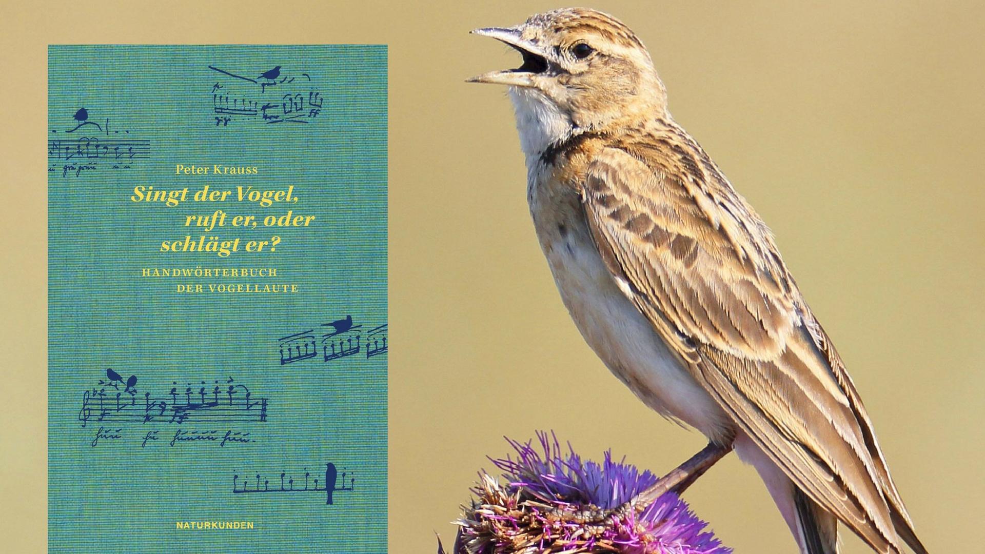 Eine Lerche, links: das Buch "Singt der Vogel, ruft er, oder schlägt er? Handwörterbuch der Vogellaute" Eine Lerche, links: das Buch "Singt der Vogel, ruft er, oder schlägt er? Handwörterbuch der Vogellaute"