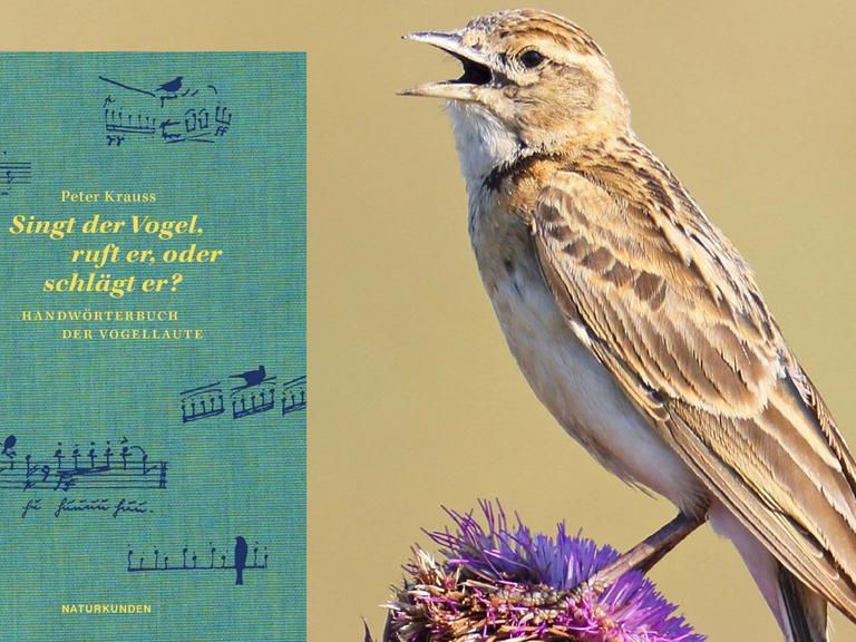 Eine Lerche, links: das Buch "Singt der Vogel, ruft er, oder schlägt er? Handwörterbuch der Vogellaute"