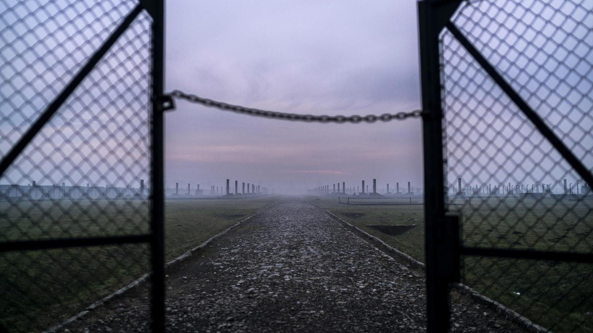 Die Habseligkeiten von Auschwitz: Zeugen sterben, Dinge erinnern