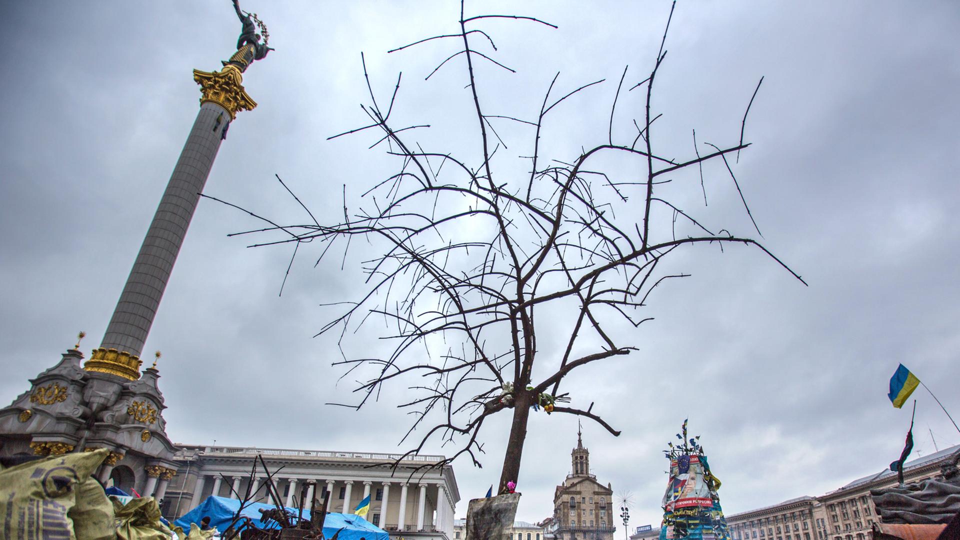 Auf dem Maidan in Kiew erinnern Blumen an die Toten. Auf dem Maidan in Kiew erinnern Blumen an die Toten.