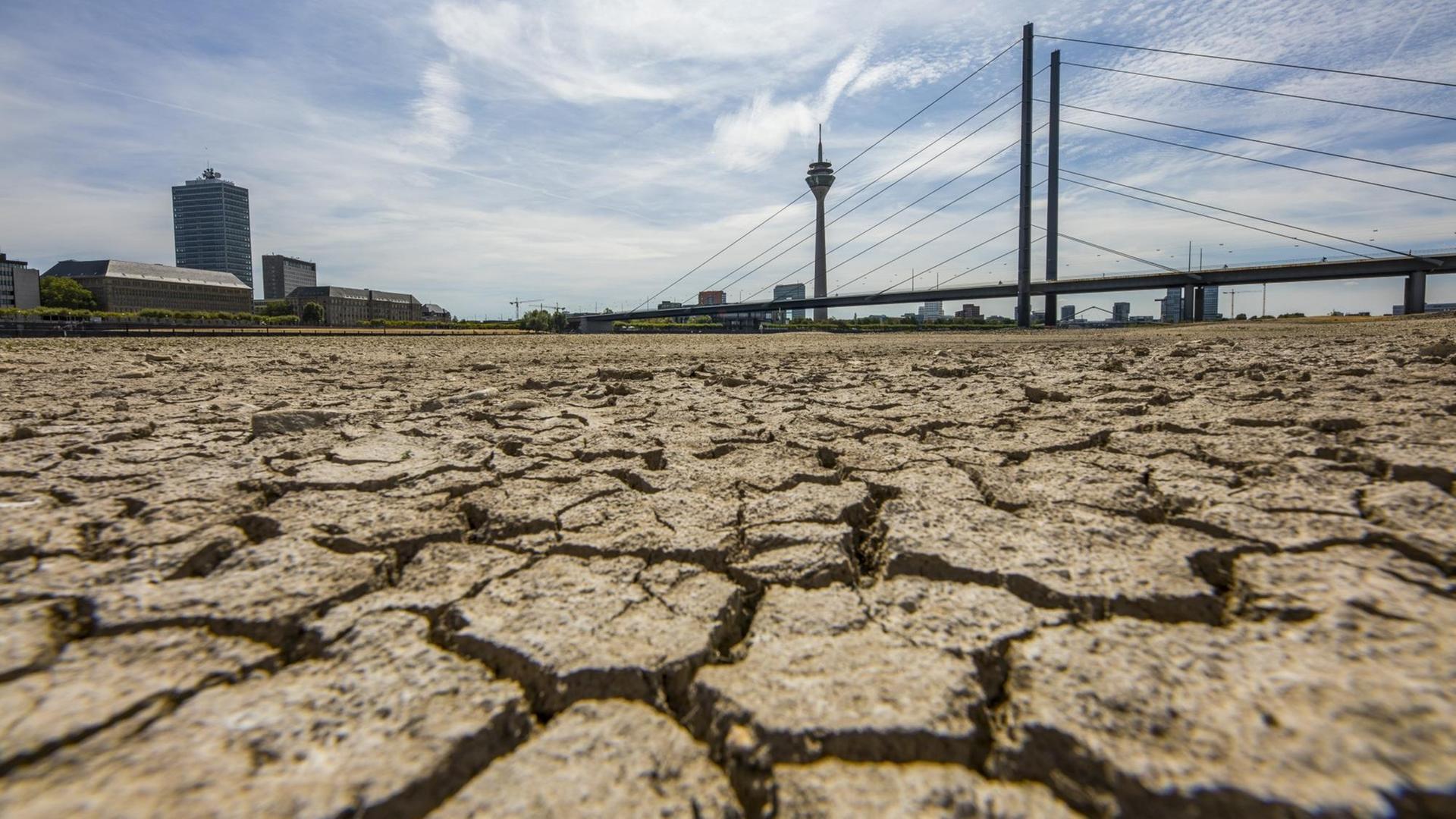Tiefe Risse in der Erde neben dem Fluss Rhein. Im Hinter-Grund ist der Fernseh-Turm von der Stadt Düsseldorf. Tiefe Risse in der Erde neben dem Fluss Rhein. Im Hinter-Grund ist der Fernseh-Turm von der Stadt Düsseldorf.