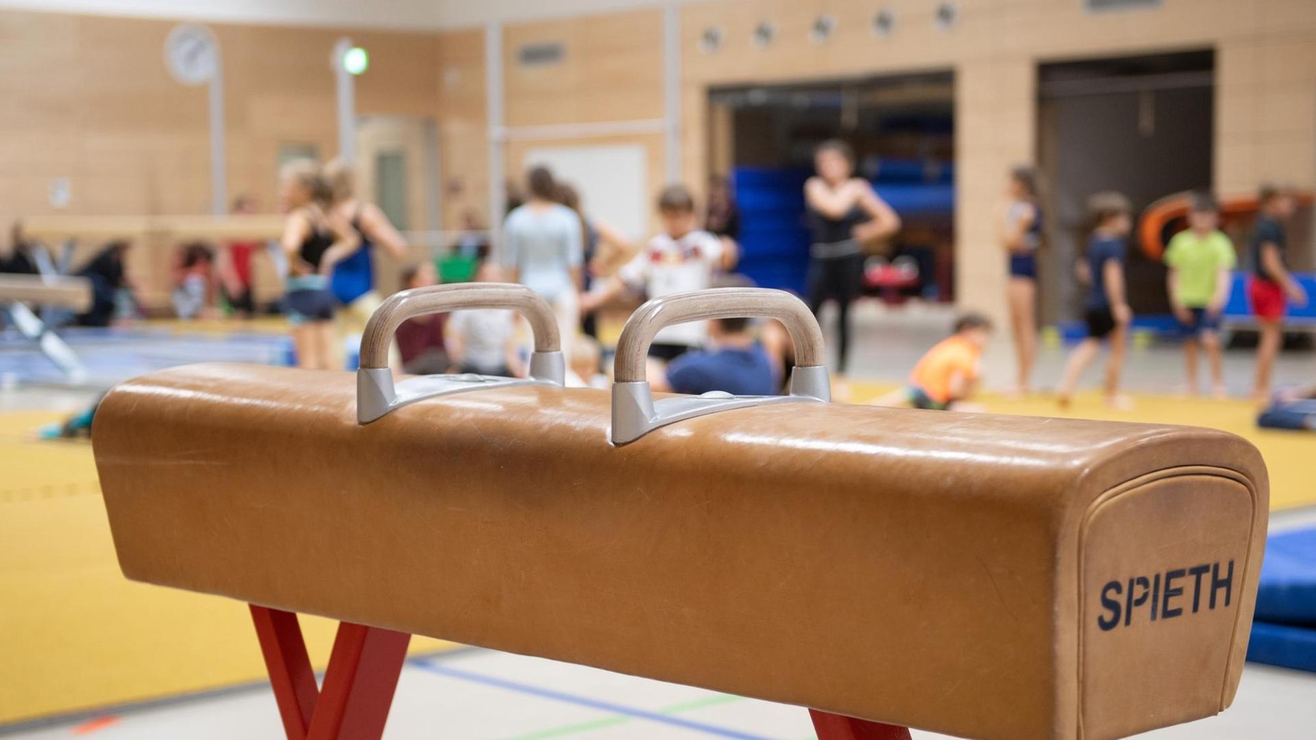 Ein Pauschenpferd steht während des Sportunterrichts in der Sporthalle einer Grundschule. Ein Pauschenpferd steht während des Sportunterrichts in der Sporthalle einer Grundschule.