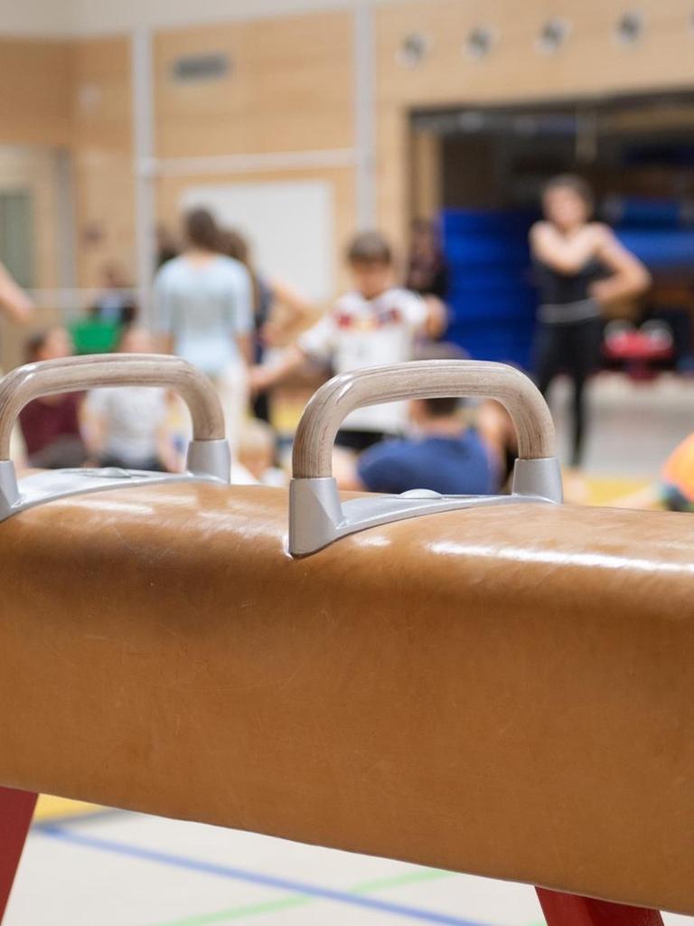 Ein Pauschenpferd steht während des Sportunterrichts in der Sporthalle einer Grundschule.