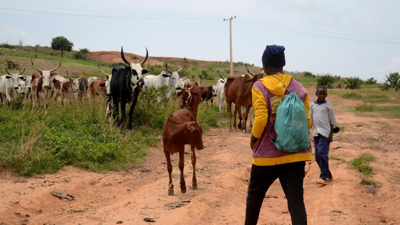 Junge Viehhirten im nigerianischen Bundesstaat Plateau