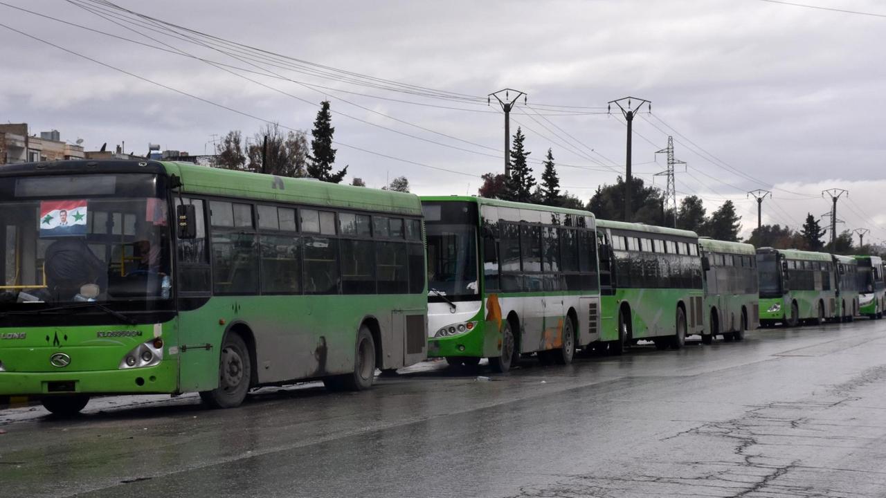 Grüne Busse stehen in einer Schlange an einer Straße.