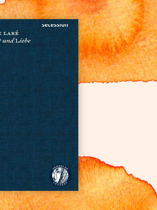 Zu sehen ist das Cover des Buches "Torheit und Liebe" von Luise Labé