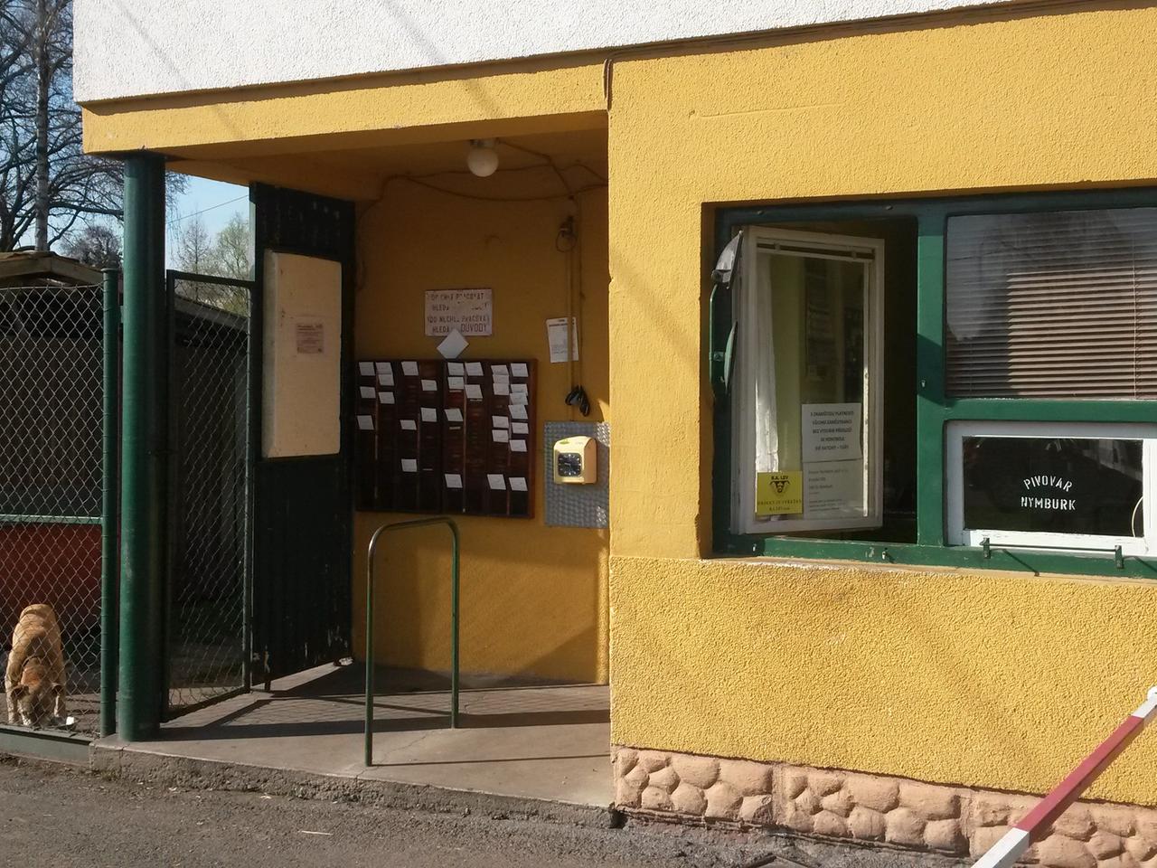 gelbes Haus, hinter einem Zaun ein Hund gelbes Haus, hinter einem Zaun ein Hund