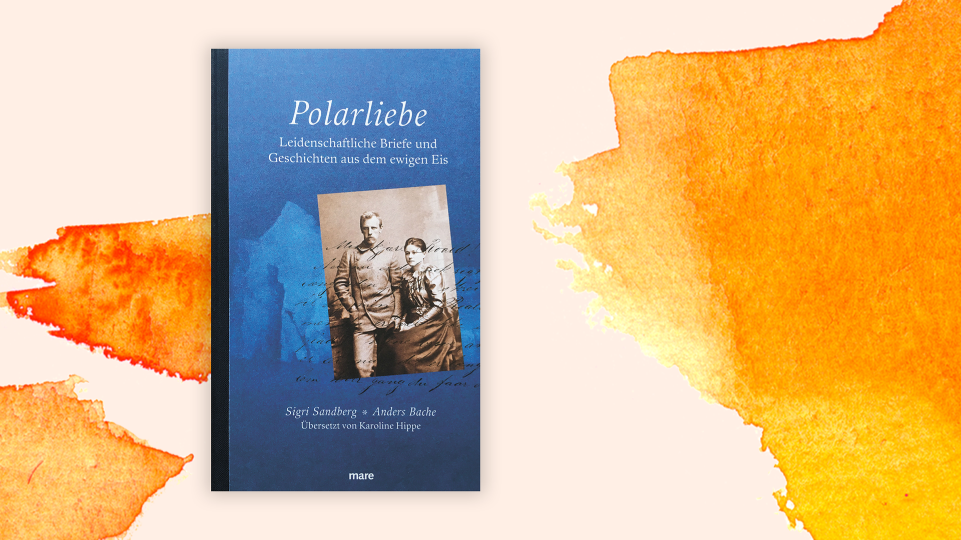Zu sehen ist das Cover des Buches "Polarliebe". Zu sehen ist das Cover des Buches "Polarliebe".