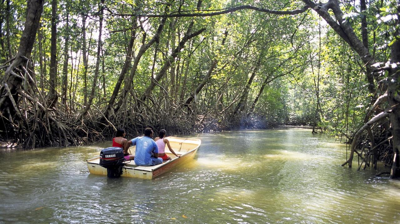 Ein Mann und eine Frau fahren mit einem Boot auf einem Fluss, dessen Ufer dicht bewaldet sind.