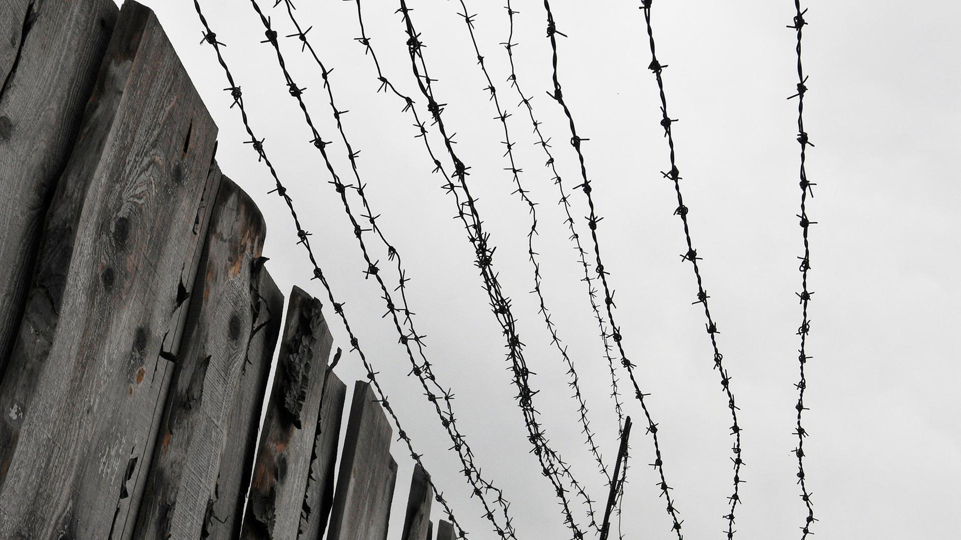 Holzbretterzaun und Stacheldraht am ehemaligen Straflager Perm 36, das bis 1989 von der Sowjetunion als Gefängnis für Dissidenten und andere Häftlinge benutzt wurde, aufgenommen am 24.07.2009. Die Anlage wird heute als GULAG-Museum benutzt. Holzbretterzaun und Stacheldraht am ehemaligen Straflager Perm 36, das bis 1989 von der Sowjetunion als Gefängnis für Dissidenten und andere Häftlinge benutzt wurde, aufgenommen am 24.07.2009. Die Anlage wird heute als GULAG-Museum benutzt.