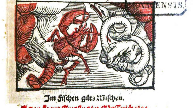 Ausschnitt vom Deckblatt "Affentheurlich Naupengeheurliche Geschichtklitterung" von Johann Fischart. Ausschnitt vom Deckblatt "Affentheurlich Naupengeheurliche Geschichtklitterung" von Johann Fischart.