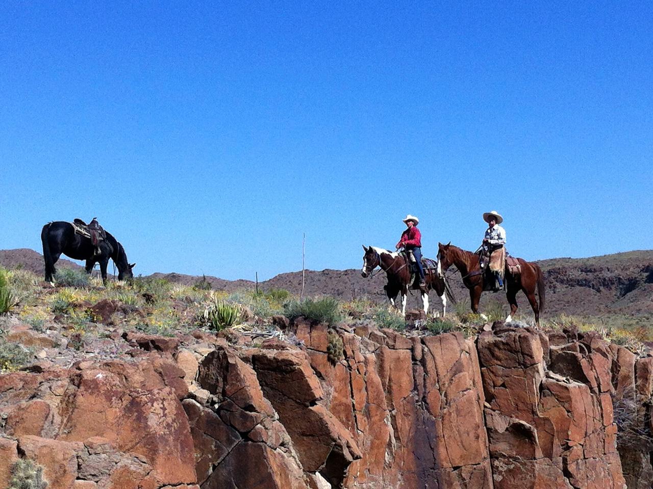 Mit dem Westernpferd entlang des Rio Grande in Texas. Mit dem Westernpferd entlang des Rio Grande in Texas.