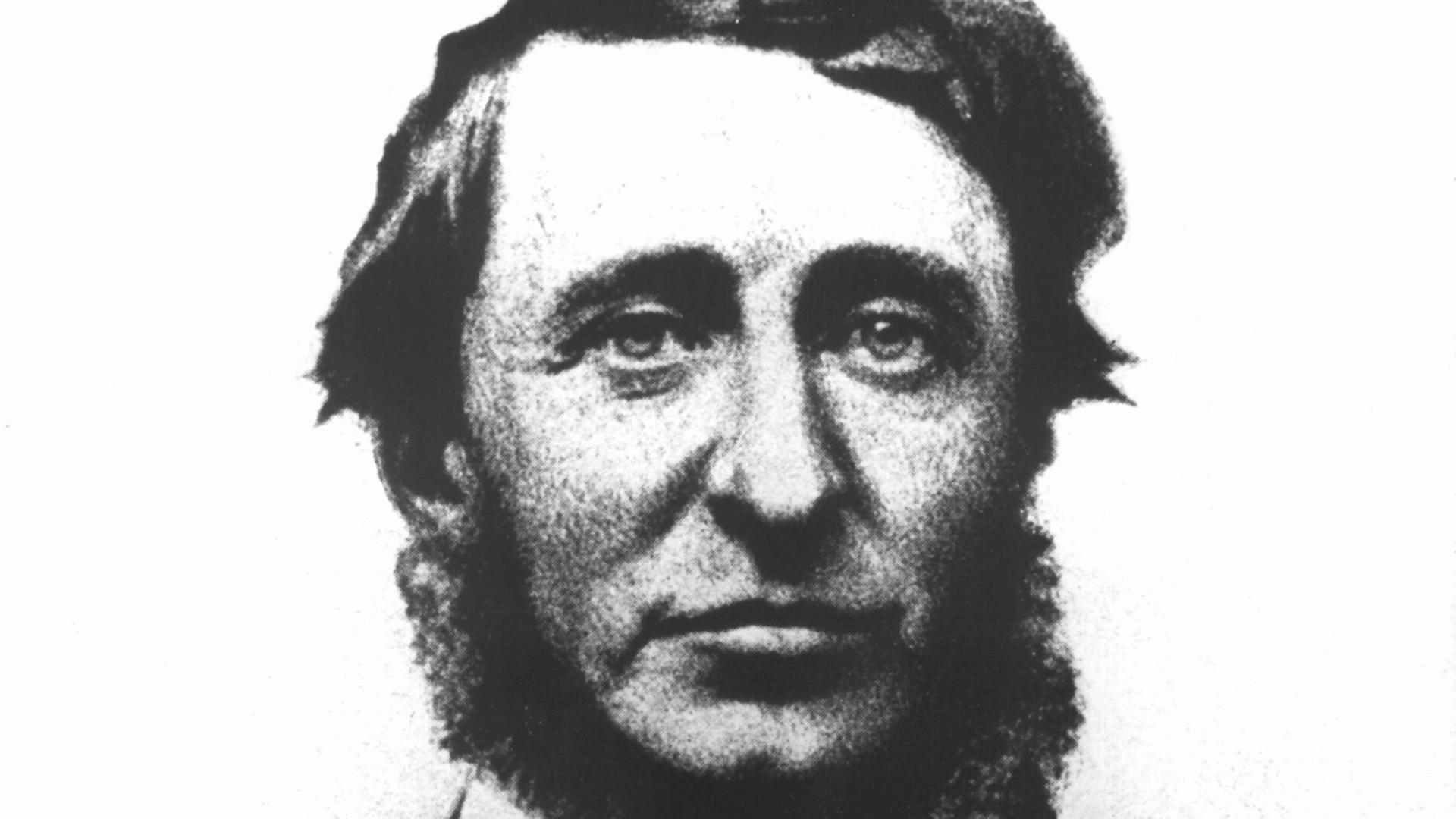 Der amerikanische Schriftsteller Henry David Thoreau in einer zeitgenössischen Aufnahme Der amerikanische Schriftsteller Henry David Thoreau in einer zeitgenössischen Aufnahme