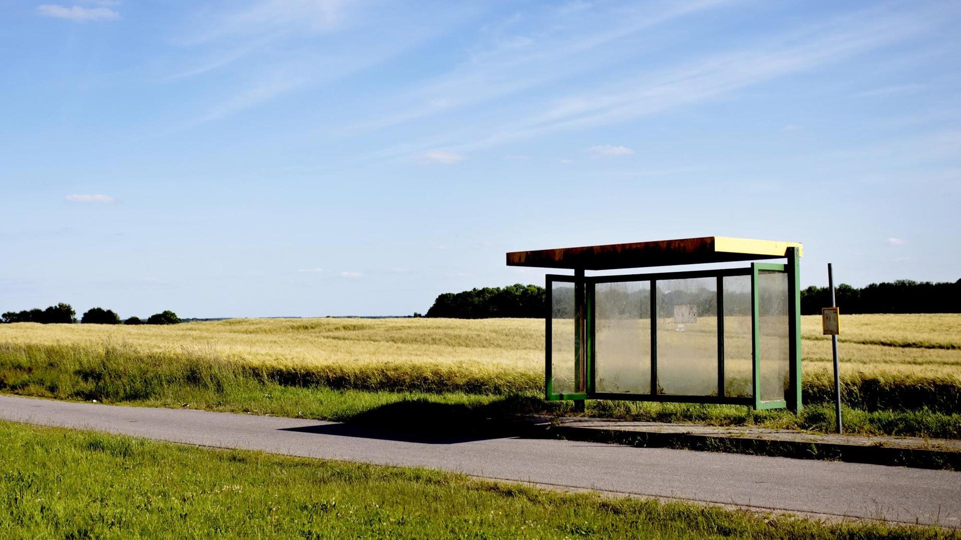 Eine leere Bushaltestelle bei Walkendorf in Mecklenburg-Vorpommern. Im Vordergrund eine schmale asphaltierte Strasse, im Hintergrund ein Kornfeld.