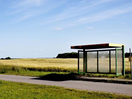 Eine leere Bushaltestelle bei Walkendorf in Mecklenburg-Vorpommern. Im Vordergrund eine schmale asphaltierte Strasse, im Hintergrund ein Kornfeld.