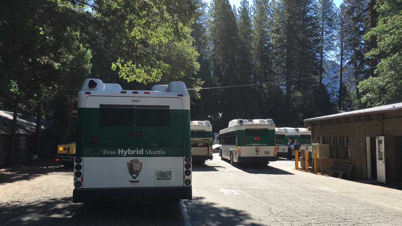 Busse im Yosemite Nationalpark Busse im Yosemite Nationalpark