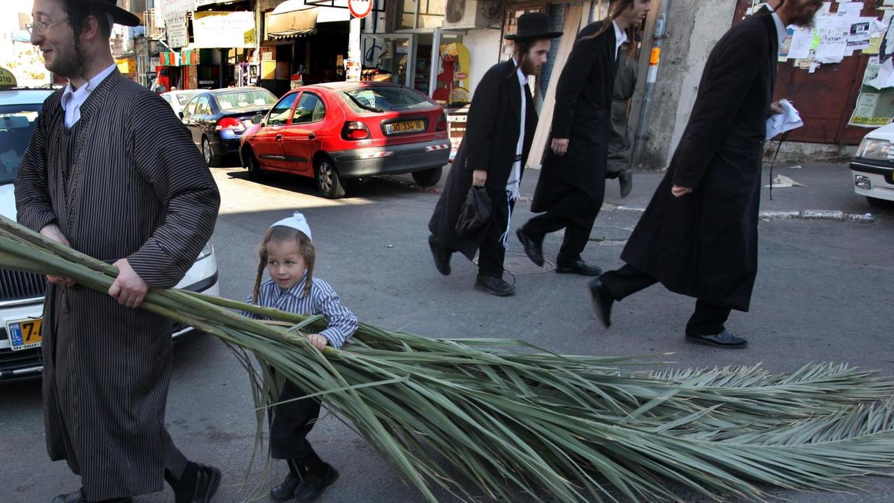 An ultra-Orthodox Jewish boy helps his father with a large palm branch as they shop for materials to build their family's 'succa' or hut before the start of the week-long Jewish holiday of Sukkot, in the Mea Shearim neighborhood of Jerusalem on 19 September 2010. Sukkot commemorates the Israelites 40 years of wandering in the desert and a decorated hut or tabernacle is erected outside religious households as a sign of temporary shelter. EPA/YOSSI ZAMIR ISRAEL OUT | An ultra-Orthodox Jewish boy helps his father with a large palm branch as they shop for materials to build their family's 'succa' or hut before the start of the week-long Jewish holiday of Sukkot, in the Mea Shearim neighborhood of Jerusalem on 19 September 2010. Sukkot commemorates the Israelites 40 years of wandering in the desert and a decorated hut or tabernacle is erected outside religious households as a sign of temporary shelter. EPA/YOSSI ZAMIR ISRAEL OUT |