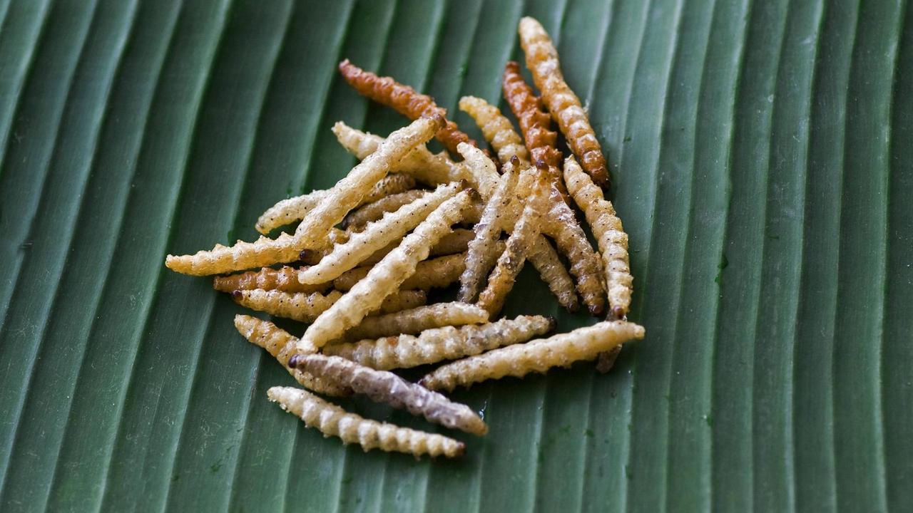 Frittierte Maden auf einem Bananenblatt Frittierte Maden auf einem Bananenblatt