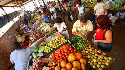 Blick auf Verkaufsstände des Obst- und Gemüsemarktes in Havanna, Kuba. Kuba ist mit einem Territorium von 110.860 Quadratkilometern die größte Insel in der Karibik.