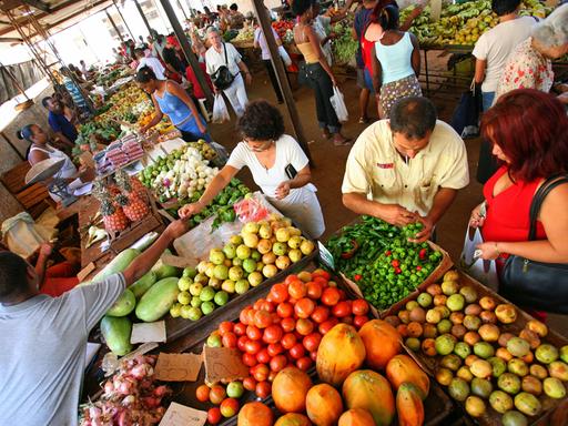 Blick auf Verkaufsstände des Obst- und Gemüsemarktes in Havanna, Kuba. Kuba ist mit einem Territorium von 110.860 Quadratkilometern die größte Insel in der Karibik.
