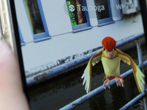 Ein Pokémon kurz vor dem Fang - im Smartphone-Spiel "Pokémon Go".