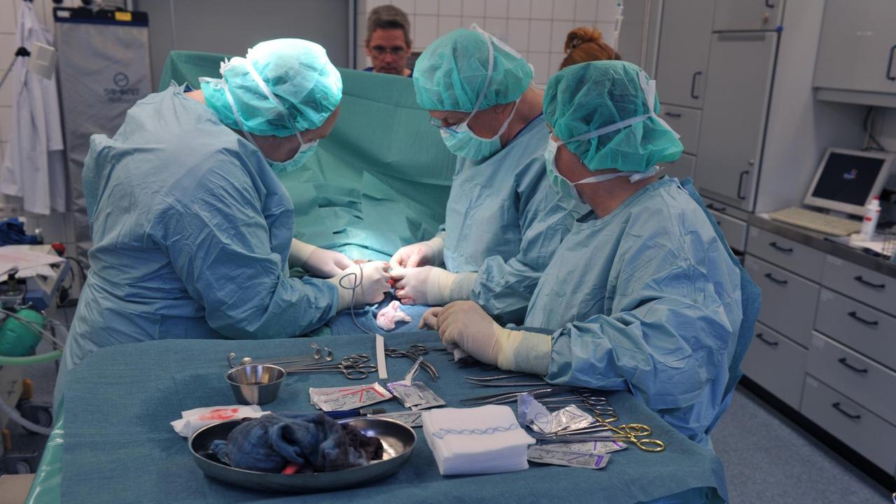 Ärzte operieren im Elisabethkrankenhaus in Iserlohn