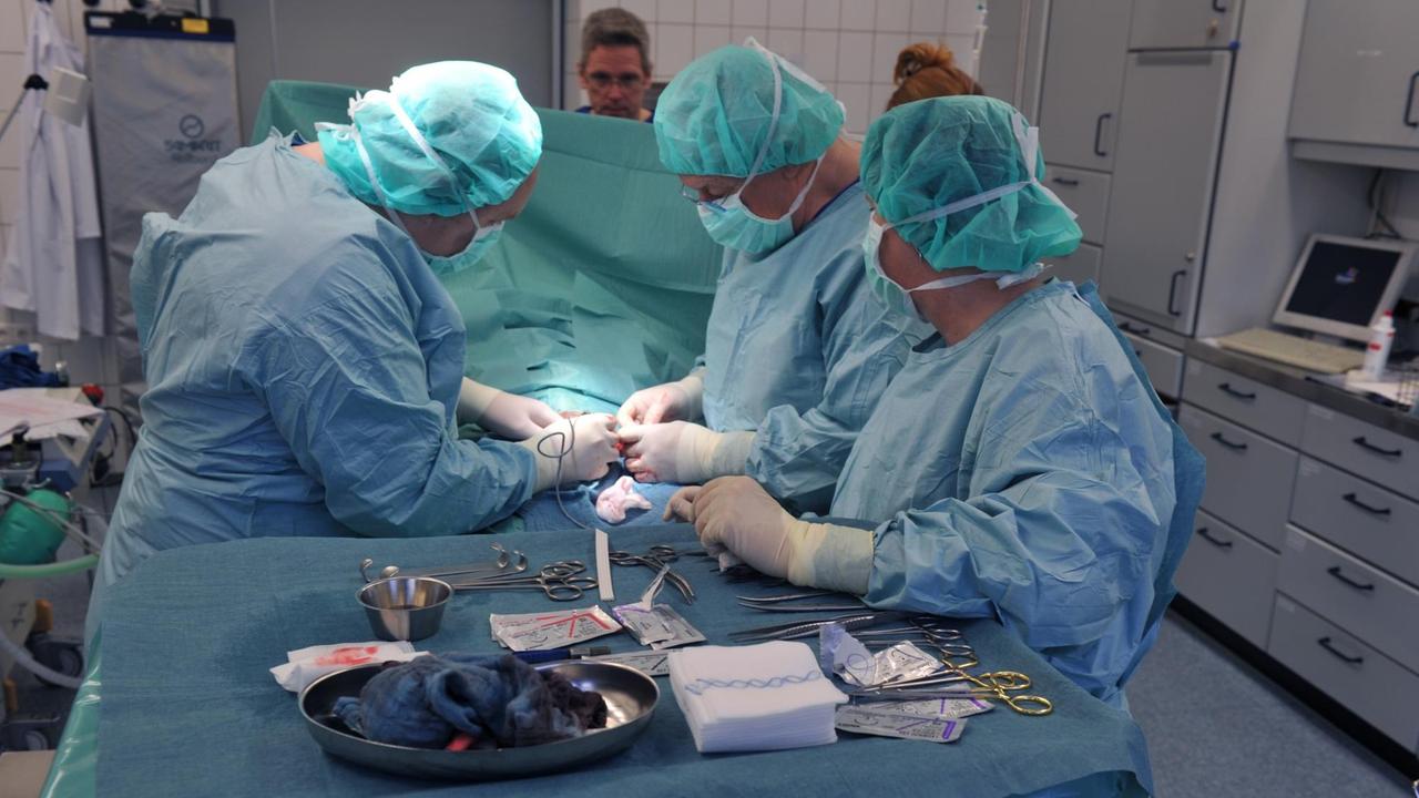 Ärzte operieren im Elisabethkrankenhaus in Iserlohn Ärzte operieren im Elisabethkrankenhaus in Iserlohn