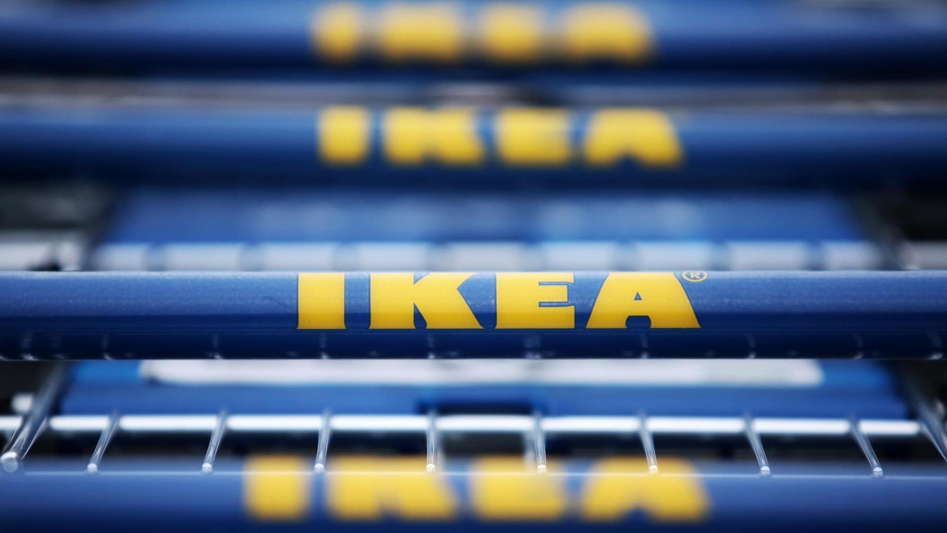 Vor einem Gebäude des schwedischen Möbelhauses Ikea stehen am 13.10.2015 in Hofheim-Wallau (Hessen) Einkaufswagen mit dem Logo des Unternehmens.