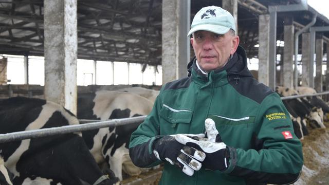 Tierwirt Thomas Druskat steht in Arbeitskleidung vor seinen Kühen im Stall