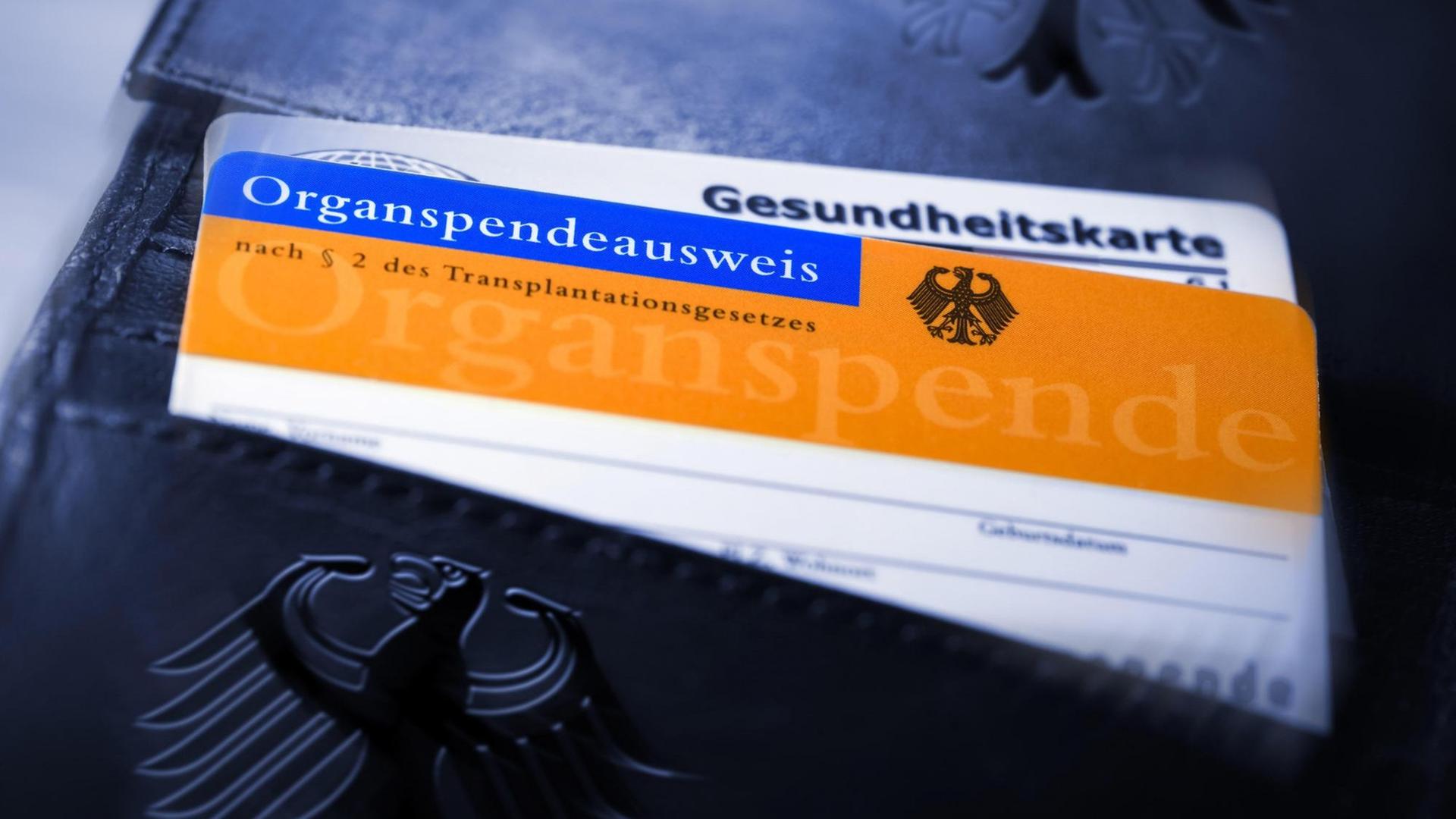 Organspendeausweis in einem Portemonnaie mit Bundesadler Organspendeausweis in einem Portemonnaie mit Bundesadler