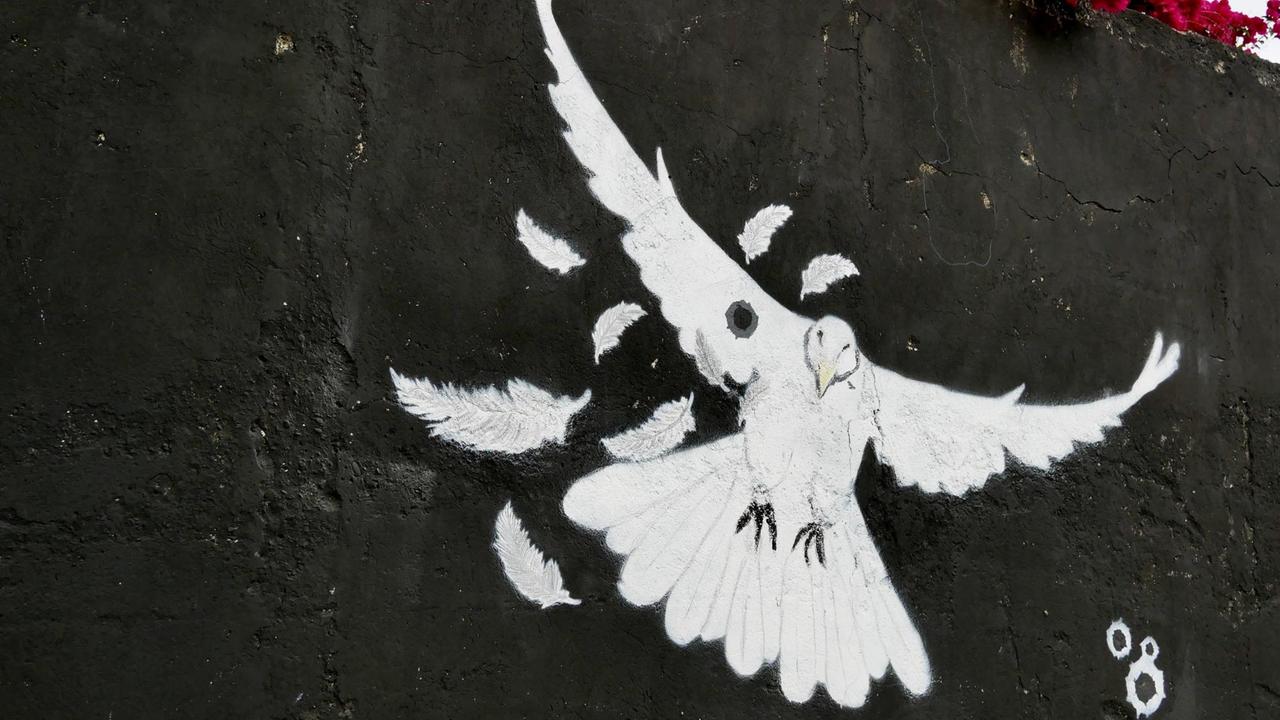 Eine Friedenstaube als Graffiti in Zyperns Hauptstadt. Mehr als 40 Jahre ist die Insel geteilt.