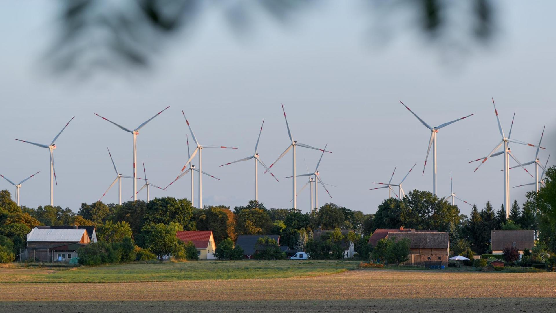 Im brandenburgischen Sieversdorf stehen viele Windräder eines Windparkes in unmittelbarer Nähe zu Einfamilienhäusern. Im brandenburgischen Sieversdorf stehen viele Windräder eines Windparkes in unmittelbarer Nähe zu Einfamilienhäusern.