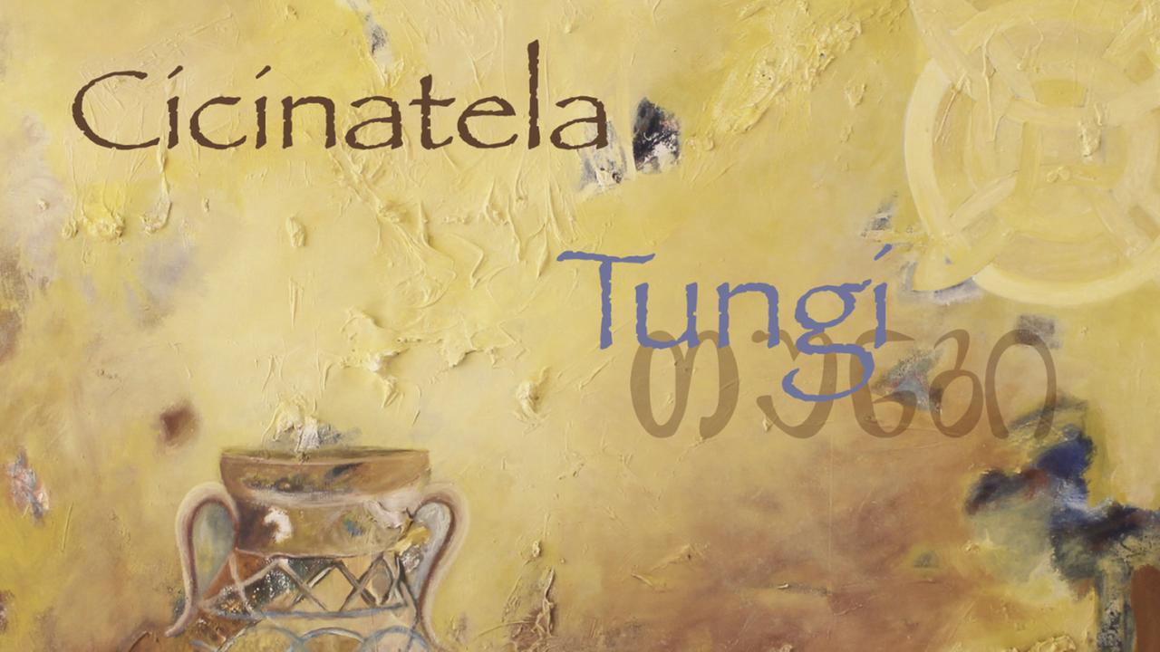 Cover des Albums "Tungi" von Cicinatela Cover des Albums "Tungi" von Cicinatela
