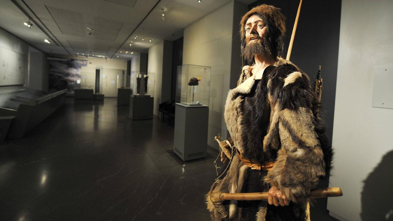 Eine Nachbildung der Ötzi-Mumie im Archäologiemuseum in Bozen. Vor 5300 Jahren wurde Gletschermann "Ötzi" ermordet.