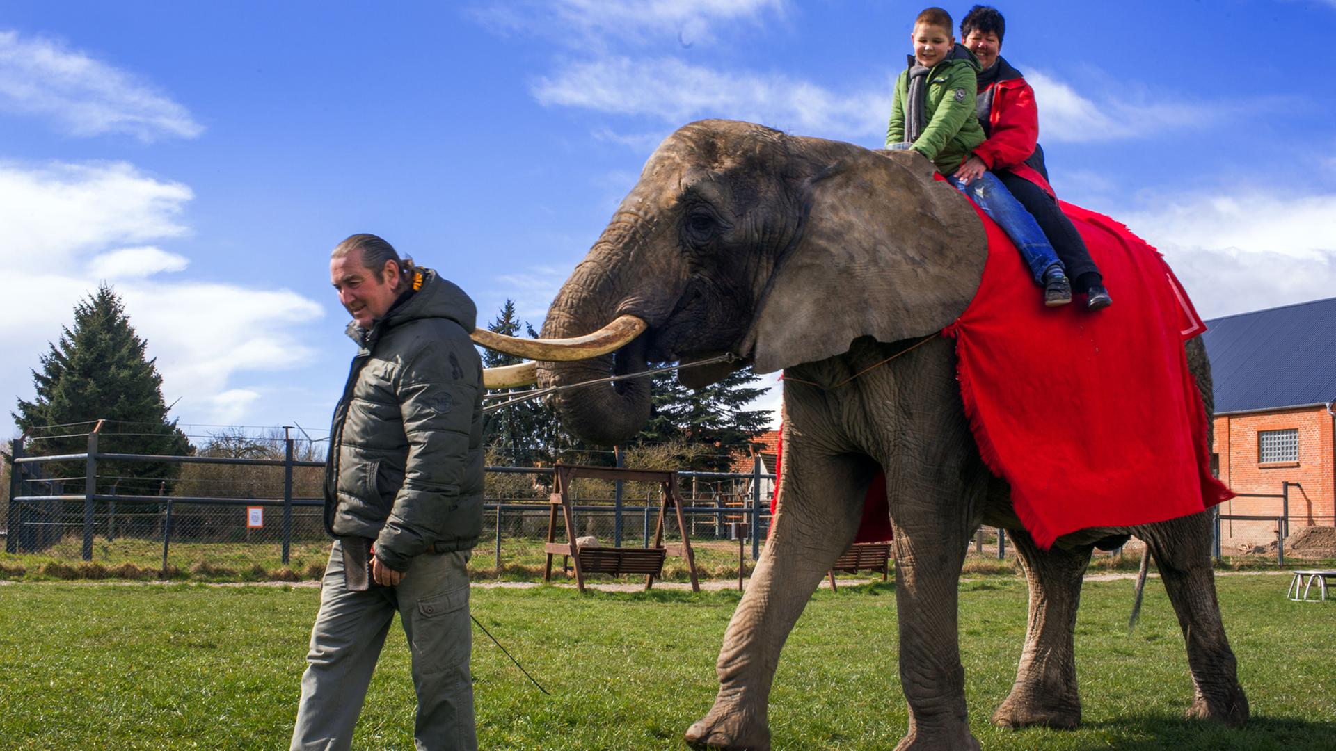 Beim Elefantenreiten mit Sonni Frankello entdecken Besucher des Elefantenhofs Platschow (Mecklenburg-Vorpommern) die weitläufige Anlage vom Elefantenrücken aus.