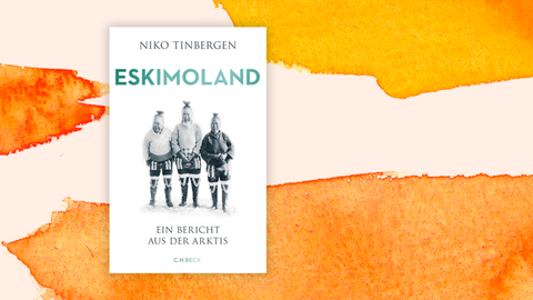 Das Cover des Buches "Eskimoland" des niederländischen Forschers Niko Tinbergen.