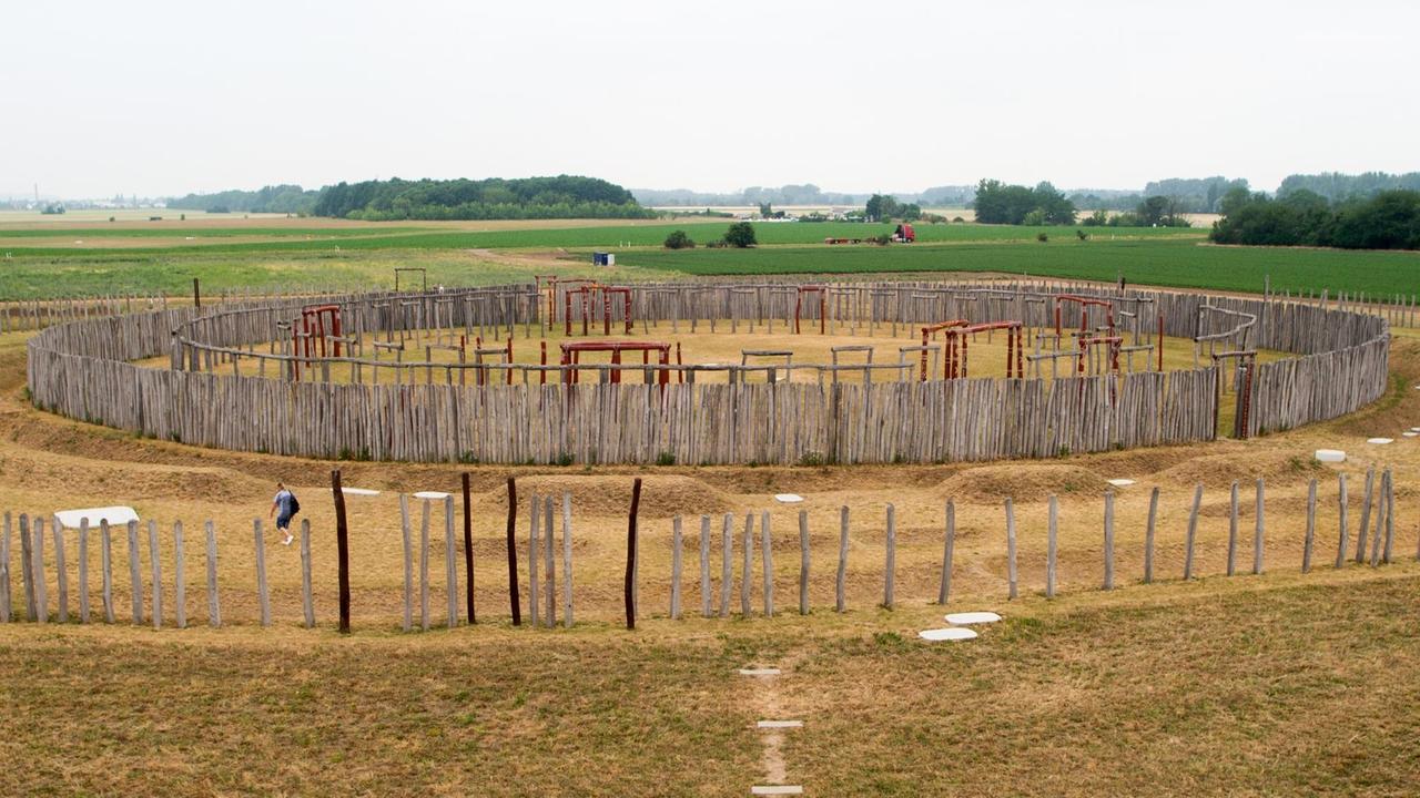Auf einer Wiese sind in mehreren Kreisen Holzstäbe angeordnet. Das Landesamt für Denkmalpflege und Archäologie Sachsen-Anhalt lässt am Rand der Kultstätte Grabungen durchführen, um herauszufinden ob die dort nachgewiesene frühbronzezeitliche Siedlung und das Ringheiligtum gleichzeitig existierten. Bisher sind dort Reste von 13 Langhäusern gefunden worden. Auf einer Wiese sind in mehreren Kreisen Holzstäbe angeordnet. Das Landesamt für Denkmalpflege und Archäologie Sachsen-Anhalt lässt am Rand der Kultstätte Grabungen durchführen, um herauszufinden ob die dort nachgewiesene frühbronzezeitliche Siedlung und das Ringheiligtum gleichzeitig existierten. Bisher sind dort Reste von 13 Langhäusern gefunden worden.