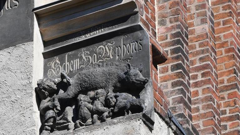 Die als "Judensau" bezeichnete mittelalterliche Schmähskulptur an der Außenwand der Stadtkirche Sankt Marien in Wittenberg zeigt ein Schwein, dem ein Rabbiner unter den Schwanz schaut und an dessen Zitzen sich Menschen laben, die Juden darstellen sollen.