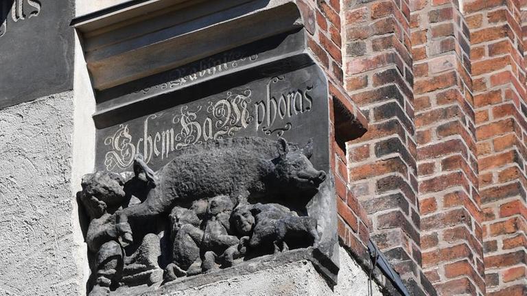 Die als "Judensau" bezeichnete mittelalterliche Schmähskulptur an der Außenwand der Stadtkirche Sankt Marien in Wittenberg zeigt ein Schwein, dem ein Rabbiner unter den Schwanz schaut und an dessen Zitzen sich Menschen laben, die Juden darstellen sollen. Die als "Judensau" bezeichnete mittelalterliche Schmähskulptur an der Außenwand der Stadtkirche Sankt Marien in Wittenberg zeigt ein Schwein, dem ein Rabbiner unter den Schwanz schaut und an dessen Zitzen sich Menschen laben, die Juden darstellen sollen.