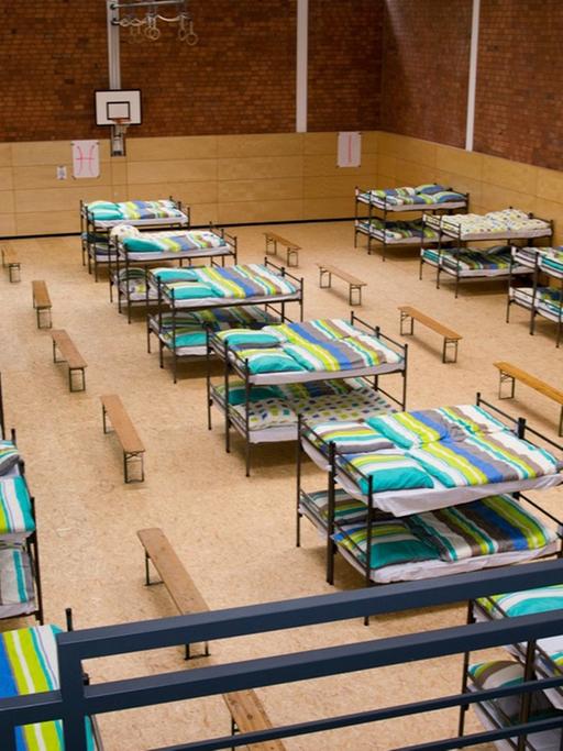 Eine umfunktionierte Turnhalle, in der in drei Reihen Betten stehen.
