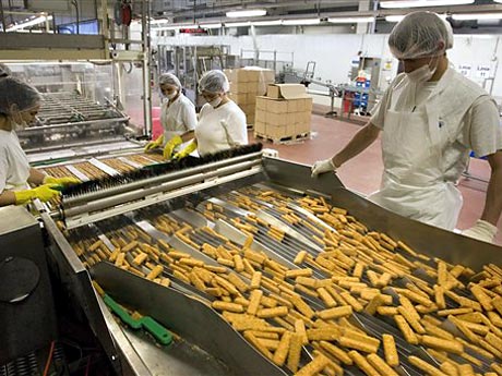 Mitarbeiter kontrollieren bei einer Tiefkühlkostfirma in Bremerhaven frisch frittierte Fischstäbchen auf dem Produktionsband.