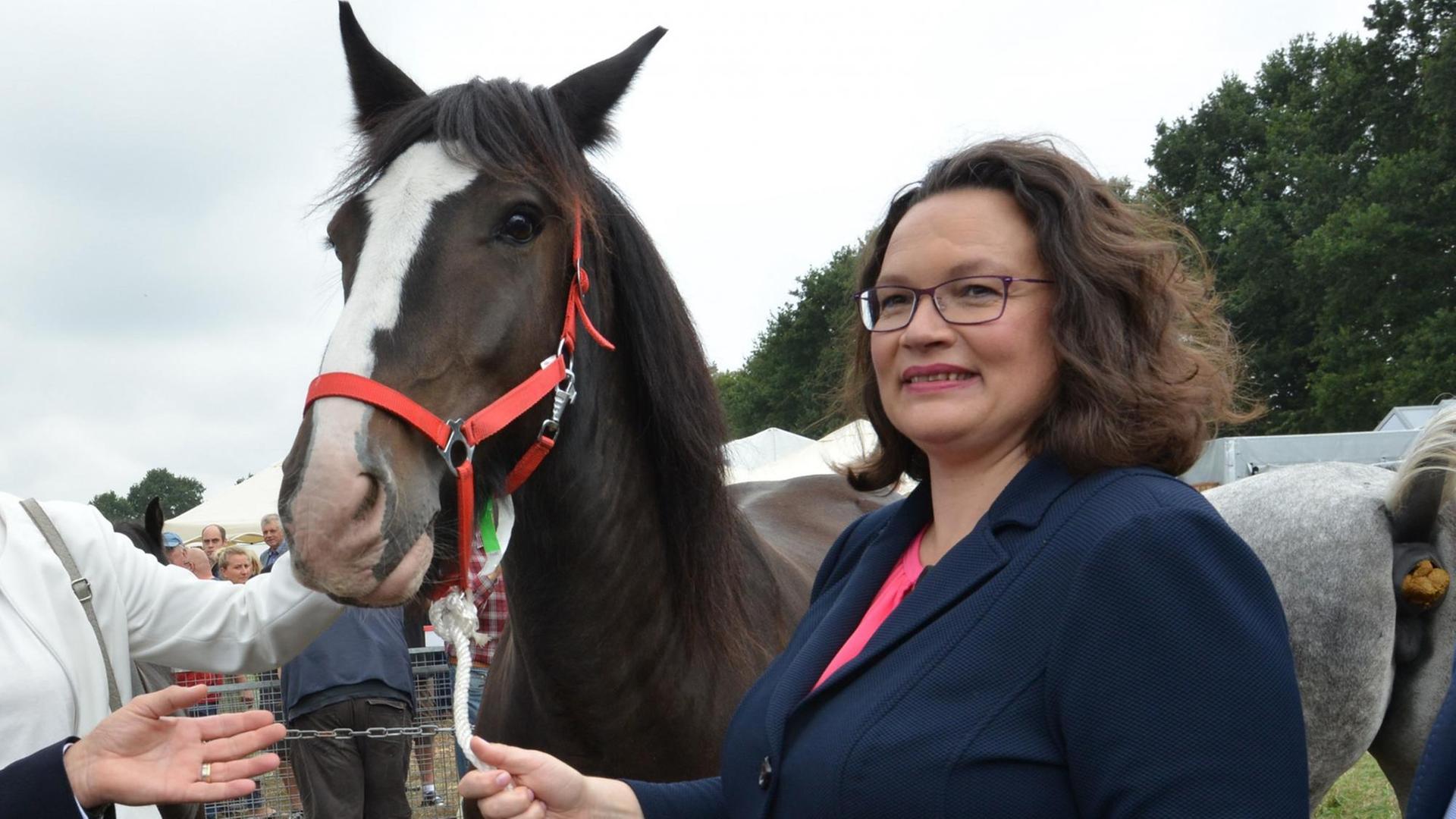 Andrea Nahles, SPD-Parteivorsitzende, besucht einen Pferdemarkt, der während des Stoppelmarktes abgehalten wird und steht dabei neben einem Pferd. Andrea Nahles, SPD-Parteivorsitzende, besucht einen Pferdemarkt, der während des Stoppelmarktes abgehalten wird und steht dabei neben einem Pferd.
