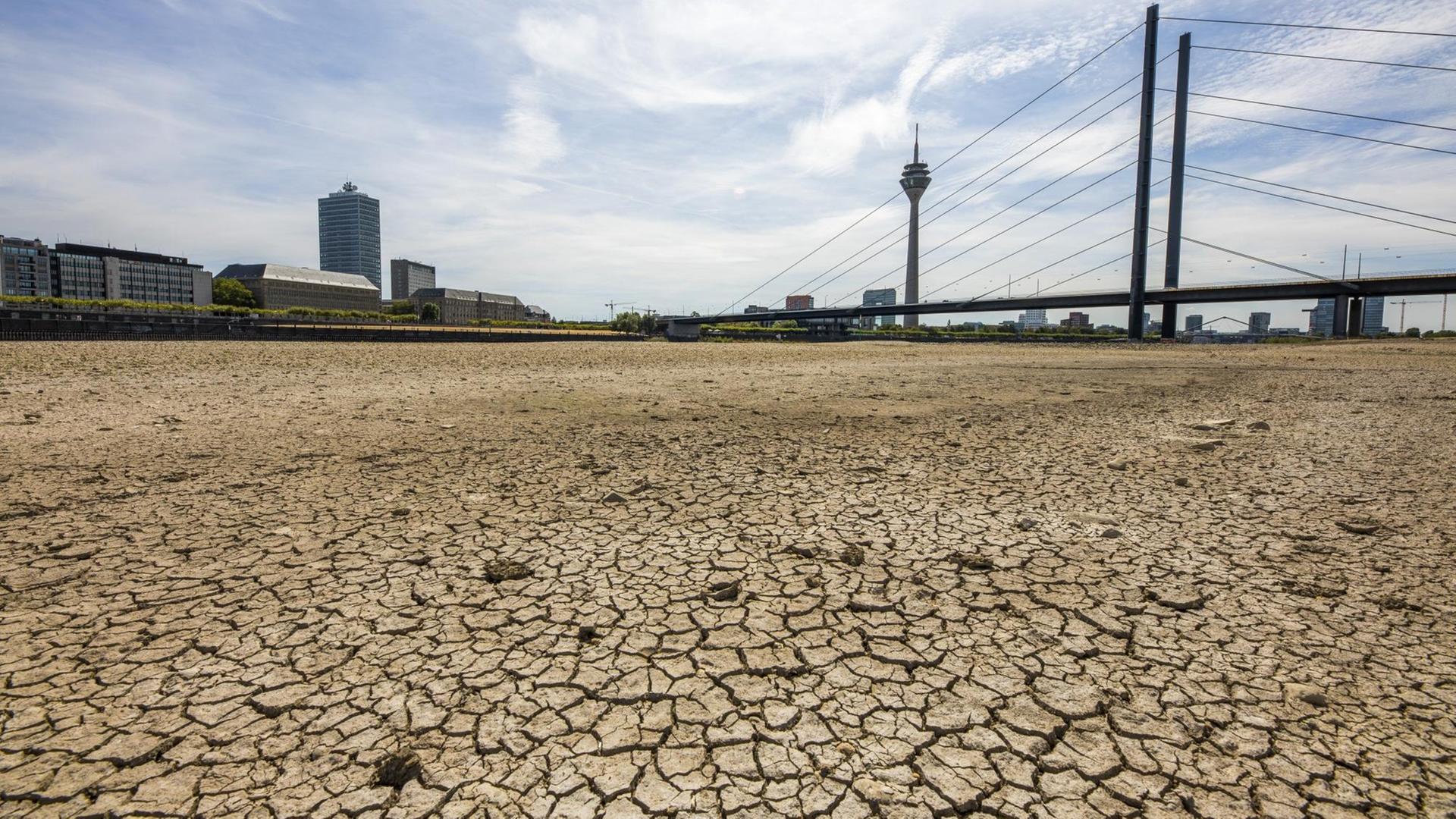 Eine Folge des Klimawandels? Extremes Niedrigwasser des Rheins bei Düsseldorf Eine Folge des Klimawandels? Extremes Niedrigwasser des Rheins bei Düsseldorf