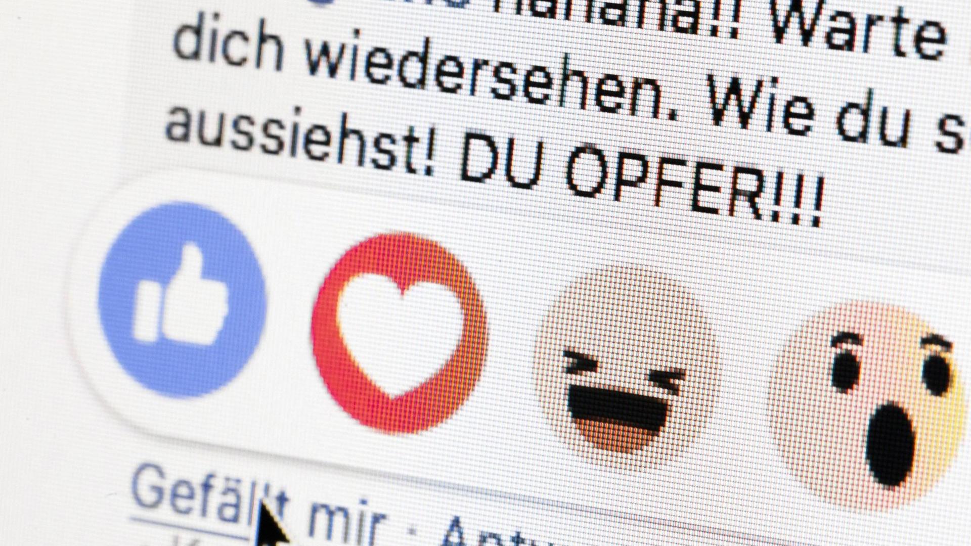 Hass im Internet: Neben dem "Gefällt-mir-Button" von facebook sind die Worte "Du Opfer" zu lesen Hass im Internet: Neben dem "Gefällt-mir-Button" von facebook sind die Worte "Du Opfer" zu lesen