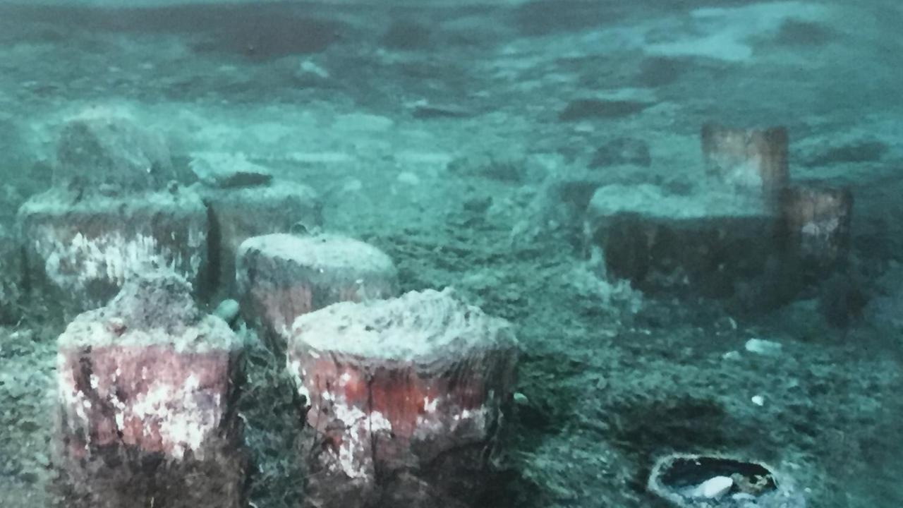 1995 hat ein Taucher per Zufall Überreste von tausenden Holzpfählen entdeckt - hier ein Unterwasserfoto. 1995 hat ein Taucher per Zufall Überreste von tausenden Holzpfählen entdeckt - hier ein Unterwasserfoto.