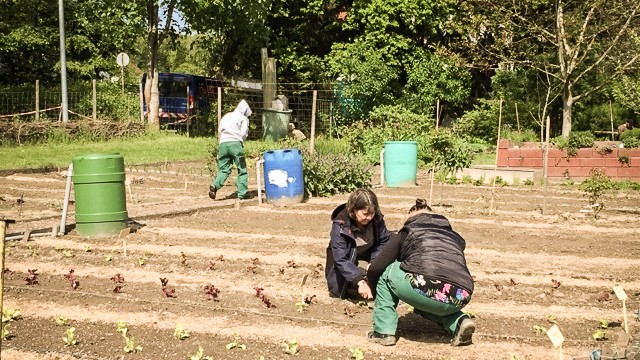 Zweiergruppe Tamara und Frau Susann Gregor im Garten von KreaVert in Fürstenhausen. Zweiergruppe Tamara und Frau Susann Gregor im Garten von KreaVert in Fürstenhausen.