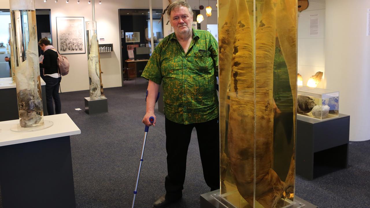 Der Sammler und Museumsgründer Sigurður Hjartarson steht neben seinem größten Exemplar, dem Phallus eines Pottwals. Der Sammler und Museumsgründer Sigurður Hjartarson steht neben seinem größten Exemplar, dem Phallus eines Pottwals.